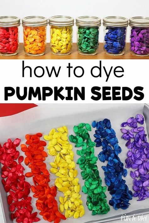 DIY instructions for how to make colorful pumpkin seeds! Learn from my mistakes and get rich, vibrant colors the first time! We use these for a variety of learning activities, art projects, and crafts in my preschool classroom! Pumpkin Seeds Activities Preschool, Pumpkin Seed Crafts Preschool, How To Dye Pumpkin Seeds, How Many Seeds In A Pumpkin Activities, Pumpkin Seed Growing Preschool, Pumpkin Seed Activities, Pumpkin Seed Crafts, Christmas Math Games, Seed Craft