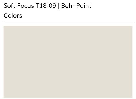 Behr Soft Focus, Soft Focus Behr Paint, Paint Vibes, Bedroom Colors Ideas, Home Paint Palette, Hallway Paint Colors, Supply Closet, Black Orchids, Home Wall Colour