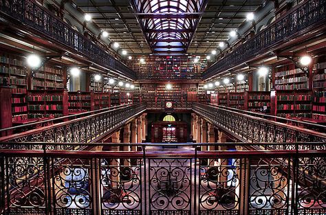 Mortlock Library by SD Smart Magical Library, City Of Adelaide, Beautiful Library, Australia Photos, The Masterpiece, Incredible Places, South Australia, Eiffel Tower Inside, Framed Canvas Art