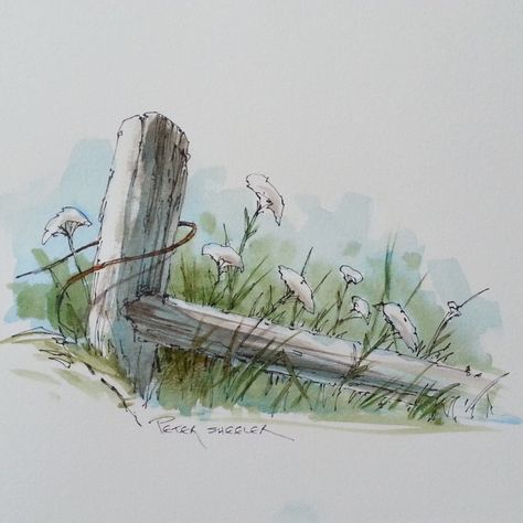 Line and Wash Watercolor of a Fence post and Wildflowers. | par Peter Sheeler Watercolor Line Drawing, Pen And Watercolor Art, Line And Wash Watercolor, Peter Sheeler, Line And Wash, Pen And Wash, Watercolor Tutorials, Watercolor Pictures, Watercolor Sketchbook