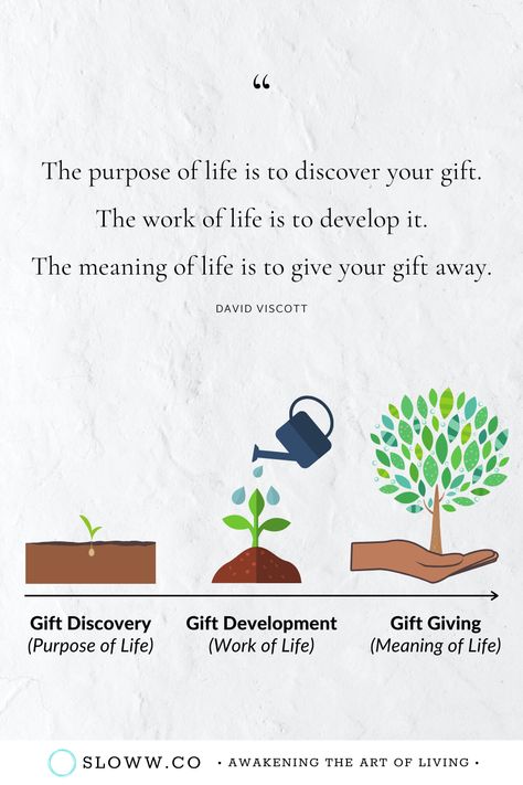 Life Purpose Quotes, Finding Meaning In Life, Life Meaning, History Of Philosophy, Purpose Quotes, The Purpose Of Life, Philosophical Thoughts, Purpose Of Life, Find Your Why