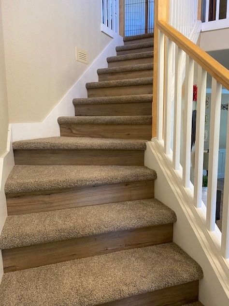 Stair Carpet Tread & LVP Flooring Riser : The Floor Store Carpet On Basement Stairs, Carpet Treads, Lvp Flooring, Carpet Stair Treads, Stair Carpet, Basement Stairs, Flooring Materials, Vinyl Plank Flooring, Carpet Stairs