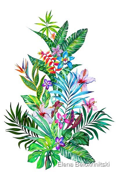 imprimé jungle Fun et riche, avec beaucoup de style. Toutes les jolies couleurs et des fleurs et des feuilles dans un dessin! La chaleur estivale dans l'air :) Tropical Flower Tattoos, Tropical Tattoo, Hawaiian Tattoo, Flowers Illustration, Tropical Art, Digital Flowers, Botanical Flowers, Exotic Flowers, Tropical Flowers