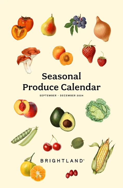 Brightland 2024 Calendar_11x17_Sept-Dec.pdf Vegetable Calendar, Fall Produce, 4th Street, 2024 Calendar, In Season Produce, Eco Friendly Living, Fruit In Season, Fruits And Veggies, Fruits And Vegetables