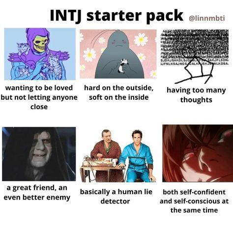 Intj And Entp, Intj Funny, Intj Core, Intj Things, Intj Problems, Intj Characters, Intj Humor, Intj Enfp, Istj Personality