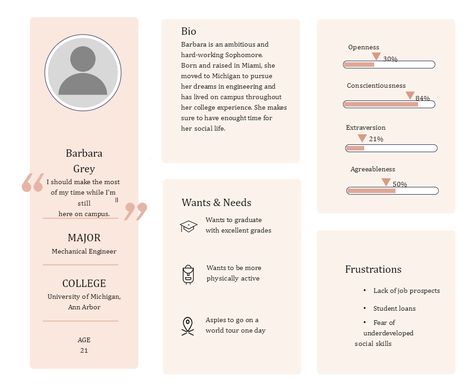 College Student User Persona Template User Persona Examples, User Persona Template, Persona Examples, Persona Template, Ideal Student, User Journey, Communications Strategy, Email Campaign, College Student