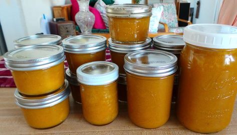 Mango Butter (Ginger, Lime and Cinnamon) Mango Butter Recipe, Canning Jams, Cinnamon Recipe, Bountiful Baskets, Mango Jam, Canning Jam, Herb Recipes, Cinnamon Recipes, Jam And Jelly