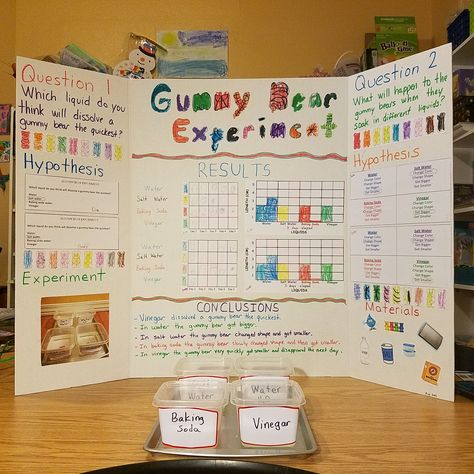 Scientific Method / Gummy Bear Experiment / Science Fair : Some of the worksheets I made myself, and some are borrowed from http://livingourhomeschoollife.blogspot.com/2014/02/gummy-bear-experiment.html Gummy Bear Science Project, Gummy Bear Experiment, Middle School Science Projects, Kids Science Fair Projects, Easy Science Fair Projects, Science Fair Board, Science Fair Experiments, Elementary Science Experiments, Science Fair Projects Boards