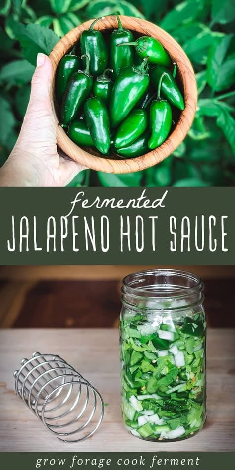 Fermented Jalapeno Hot Sauce, Jalapeno Hot Sauce Recipe, Jalapeño Hot Sauce, Dry Canning, Fermented Vegetables Recipes, Dali Lama, Recipes Unique, Hot Sauce Recipe, Fermented Kimchi