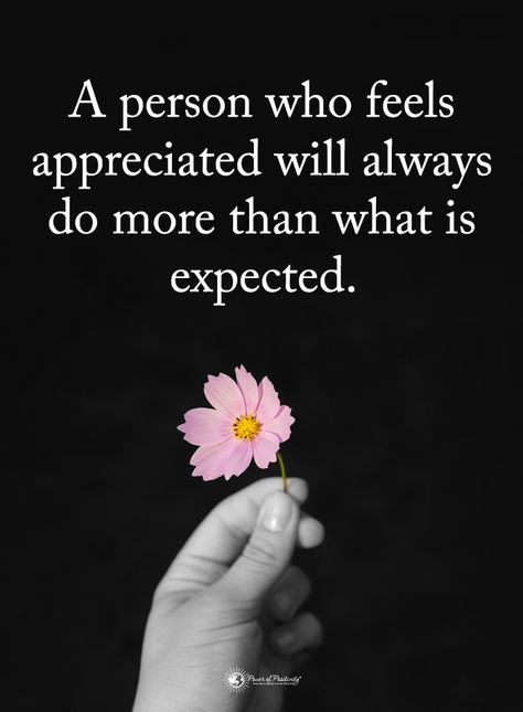 People who feel valued and appreciated will go above and beyond for you. People who don't will do the bare minimum to keep their job. (Find out what front line staff training programs I offer by visiting my website at www.KatharineGiovanni.com) A Person Who Feels Appreciated, Appreciate You Quotes, Follow Your Dreams Quotes, Life Proverbs, Feeling Appreciated, Raider Nation, Crazy Quotes, Life Rules, Inspirational Sayings