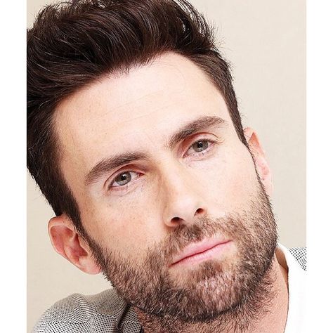 Adam Levine Haircut, Adam Levine Beard, White Boy Hairstyle, Shawn Mendes Hair, Shawn Mendes Imagines, Short Hair Images, Hairstyle Names, Mens Haircuts Fade, Celebrity Travel