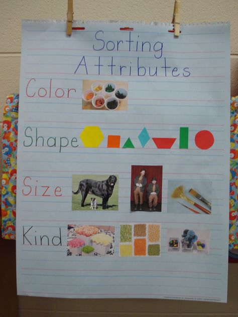 Sorting By Multiple Attributes Preschool, Math Sorting Activities, Math Sort, Kindergarten Anchor Charts, Math Patterns, Prek Math, Math Centers Kindergarten, Math Anchor Charts, Kindergarten Class