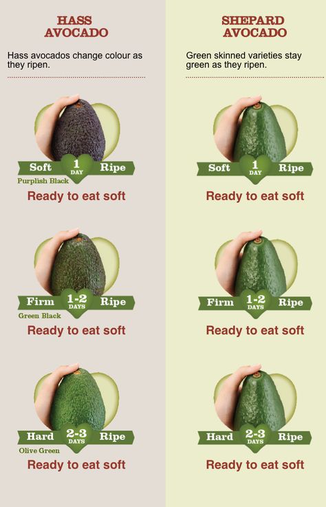 How to test a an avocado for ripeness Avocado Varieties, Avocado Health Benefits, Fruit Picking, Dinner On A Budget, Food Info, Avocado Recipes, Easy Healthy Breakfast, Food Facts, Fruit And Veg