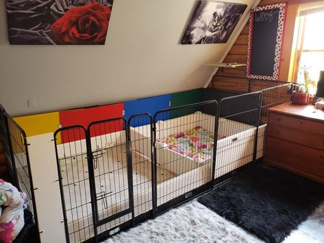 Whelping Pen Ideas, Puppy Pin Ideas, Puppy Welping Room, Whelping Room, Puppy Breeder Setup, Whelping Pens For Dogs, Whelping Set Up, Dog Breeding Kennels, Dog Whelping Box