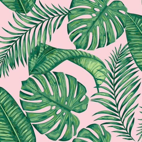 Skinnydip Dominica Tropical Leaf Wallpaper Green / Pink Muriva 180520 Green Pink Illustration, Jungle Lounge, Pink And Green Tropical, Pink And Green Wallpaper, Office Loft, California Wallpaper, Green Leaf Wallpaper, Palm Leaf Wallpaper, Palm Wallpaper