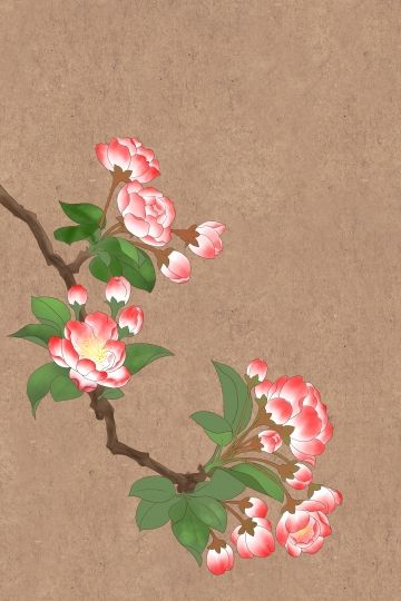 Chinese Ancient Painting, Chinese Traditional Art, Chinese Painting Flowers, Begonia Flower, Chinese Flowers, Chinese Folk Art, Asian Flowers, Chinese Flower, Korean Painting