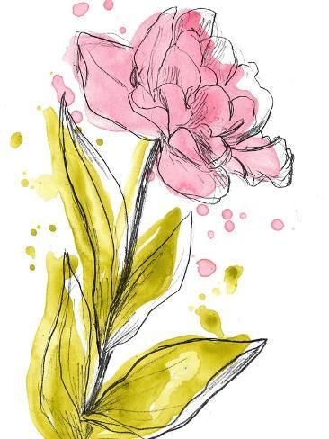 size: 12x9in Art Print: Spring Contours V by June Vess : Black Framed Wall Art, Watercolor Flower Art, Card Drawing, Pen And Watercolor, Easy Watercolor, Watercolor Cards, Greetings Cards, Watercolor And Ink, Big Canvas Art