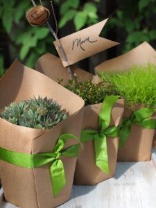 transform a plant with craft paper, ribbon, and a cute tag on a stick! Wrap Potted Plants, Plant Gift Ideas, Plants Craft, Brown Paper Bags, Craft Papers, Plant Gift, Homemade Christmas Gifts, Craft Paper, Plant Gifts