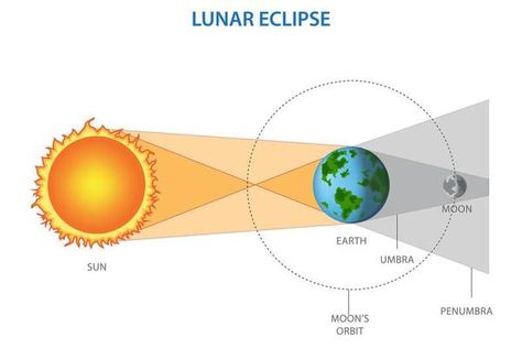 Modern Solar Eclipse Infographic 2776949 Vector Art at Vecteezy The Sun And The Moon, Sun And The Moon, Tree Saw, Wedding People, Lunar Eclipse, Heart Tree, Cityscape Photos, Logo Banners, Nature Backgrounds