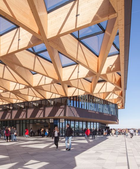 Timber Canopy, Architecture Art Nouveau, Canopy Architecture, Timber Architecture, Shigeru Ban, Fibreglass Roof, Backyard Canopy, Timber Roof, Wood Architecture