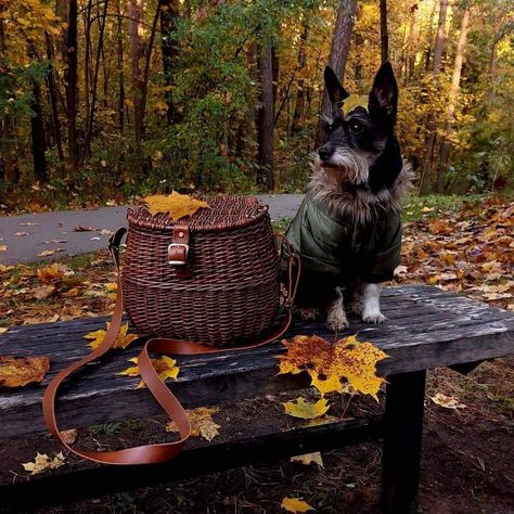 Wicker Purse, Wicker Bags, Little Red Riding Hood, Red Riding Hood, Vegetable Tanned Leather, Picnic Basket, Cross Body Handbags, Leather Straps, Crossbody Bag