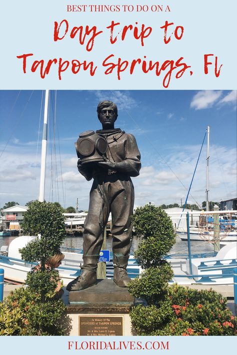 Tarpon Springs Florida, Florida Getaway, Springs Florida, Tarpon Springs, Clearwater Florida, Gift Shops, Greek Culture, Coastal Town, Spring Trip