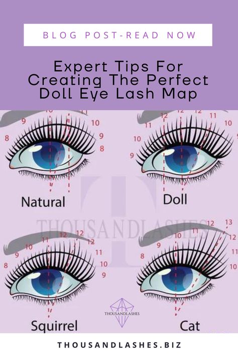 Car Eye Lash Extensions Map, Lash Extension Doll Eye, Small Eye Lash Map, Classic Eyelash Extensions Doll Eye, Open Doll Eye Lash Extensions, Open Eye Lashes Extension, Lash Extensions Open Eye Style, Doll Eye Vs Open Eye Lash Extensions, Open Eye Lash Mapping