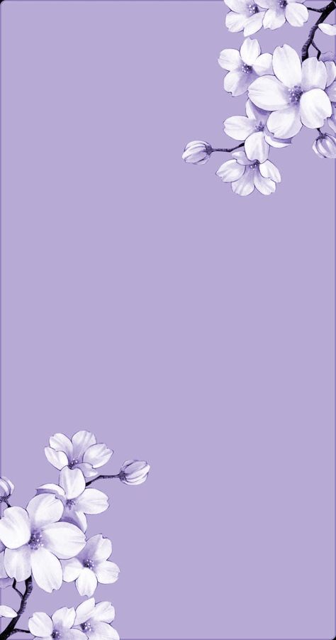 Light Purple Wallpaper, Purple Aesthetic Background, Light Purple Flowers, Violet Pastel, Purple Flowers Wallpaper, Pretty Backgrounds, Cute Simple Wallpapers, Flower Background Wallpaper, Purple Background