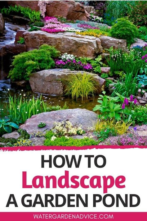 Pond Landscaping Ideas - Water Garden Advice Pond Landscaping Ideas, Small Garden Waterfalls, Small Backyard Ponds, How To Landscape, Fish Pond Gardens, Building A Pond, Outdoor Ponds, Garden Pond Design, Fountains Backyard