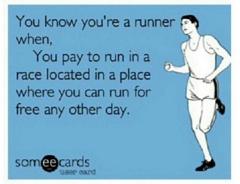 funny things we think on race day - hilarious running quotes, running memes, click for more Running Memes, Running Motivation Quotes, Quotes Hilarious, Why I Run, I Love To Run, 5k Training, Run Like A Girl, Runners High, Running Humor