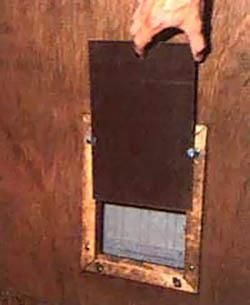 5-Homemade-Cat-Door Cat Door Ideas, Diy Cat Door, Cat Door Diy, Window Pet Door, Pet Patio Door, Door Plans, Doggie Door, Diy For Beginners, Dog Doors