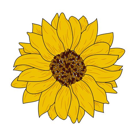 Download Realistic sunflower design for free Sunflower Petals Drawing, Sunflower Vector Art, Sunflower Clipart Black And White, Sunflower Vector, Drawn Sunflower, Tree Saw, Heart Tree, Cityscape Photos, Logo Banners