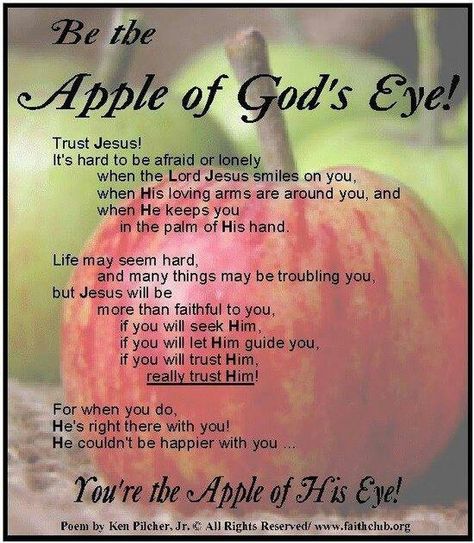 Be the apple of His eye Joy In The Lord, Easter Prayers, God's Eye, Apple Of My Eye, Jesus Love, Gods Eye, Joy Of The Lord, Faith Inspiration, God Loves Me