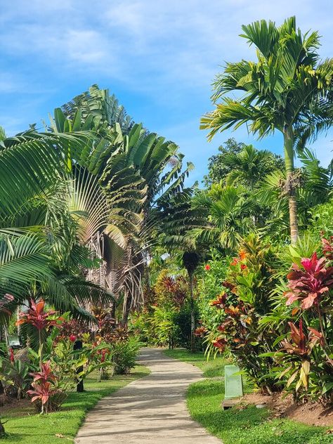 lush greenery around path Coral Coast Fiji, Fiji Islands Aesthetic, Fiji Aesthetic, Fijian People, Suva Fiji, Fiji Holiday, Fiji Vacation, Fiji Travel, Place To Travel