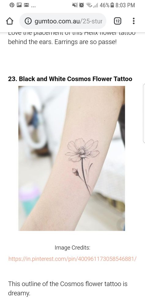 Cosmo Flower Tattoo Black And White, Cosmo Tattoo Flower, Cosmo Tattoo, Cosmo Flower Tattoo, Cosmo Flower, Cosmos Tattoo, Baby Tattoo, White Cosmo, Tattoo Arm