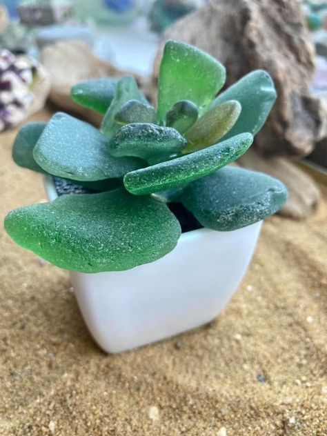 Seaglass Succulents Diy, Seaglass Succulents, Sea Glass Succulent, Sea Glass Bowl, Sea Glass Diy, Sea Glass Artwork, Sea Glass Art Diy, Sea Glass Art Projects, Seaglass Art