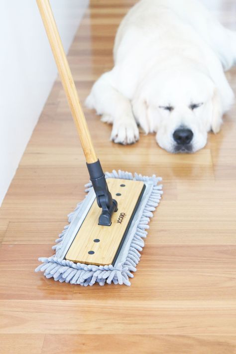 Cleaning Dog Hair House, Cleaning With Pets, Cruelty Free Skin Care Routine, Cleaning Dog Paws, How To Keep A Clean House With Pets, Cruelty Free Cleaning Products, Pet Friendly Cleaning Products, Dog Brands, Pet Area