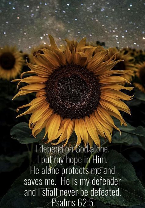 Sunflower Verse, God Confidence, Sunflower With Quotes Wallpaper, Sunflower Verse Scriptures, Sunflower Devotional, Bible Verse With Sunflowers, Bible Education, June Quotes, Beautiful Scriptures