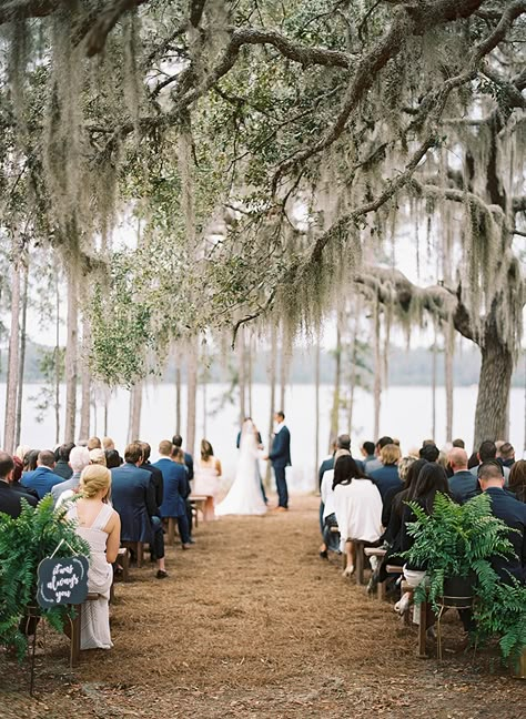 Elegant Lake Wedding Under A Spanish Moss Tree - Inspired By This Spanish Moss Trees, Redwood Forest Wedding, Lake Wedding Venues, Forest Wedding Venue, Ocala National Forest, Campground Wedding, Wedding Features, Wedding Ceremony Ideas, Majlis Perkahwinan