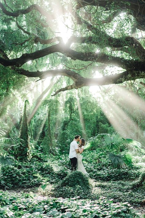 Jungle Engagement Photos, Tropical Engagement Photos, Hawaii Engagement Pictures, Jungle Photos, Engagement Photos Hawaii, Maui Engagement Photos, Kauai Engagement Photos, Couple Jungle Photography, Maui Photoshoot