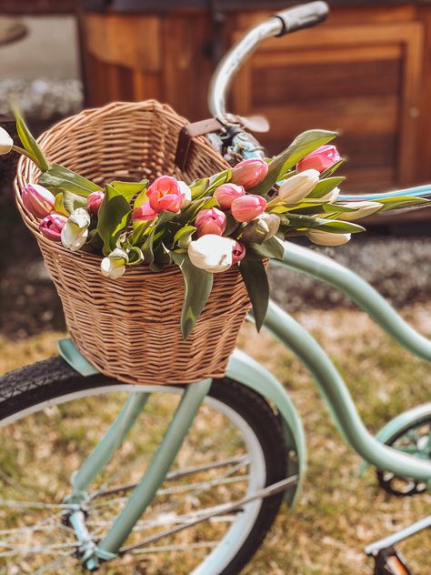 Flowers In Bike Basket, Ideje Za Slikanje, Wicker Bicycle Basket, Bicycle Basket, Petal Pushers, Spring Window, Machining Projects, Bike Basket, Bike Photo