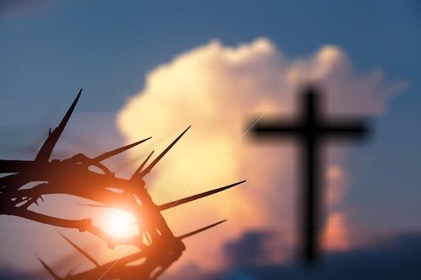 Crown of thorns of jesus christ against ... | Premium Photo #Freepik #photo #cross-background #jesus-cross #good-friday #crucifixion Background Jesus, Jesus Christ On The Cross, Cross Background, Jesus Background, Catholic Cross, Crucifixion Of Jesus, Christian Quotes God, Jesus Wallpaper, Sunset Background