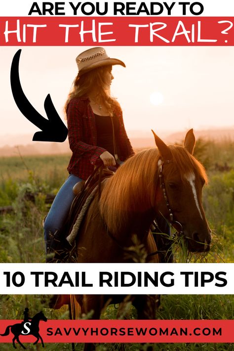 Trail Riding Tips on Horseback: 10 Savvy Tips - Savvy Horsewoman George Morris, Trail Riding Horses, Horseback Riding Tips, Small Barns, Horseback Riding Lessons, Horse Lessons, Riding Tips, Saddle Rack, Diy Horse