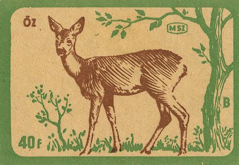 hungarian matchbox label | by maraid Matchbox Label, In The Woods, Deer, Stamp