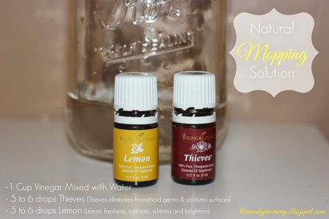 Mopping Solution, Living Peacefully, Oil Therapy, Thieves Oil, Mopping Floors, Thieves Essential Oil, Essential Oils For Pain, Homemade Cleaners, Yl Oils