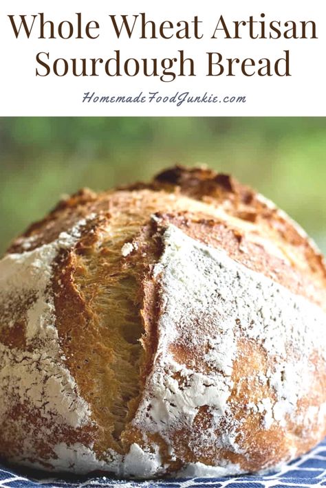 Rustic Sourdough Bread Recipe, Whole Wheat Sourdough Bread, Wheat Sourdough Bread, Artisan Sourdough Bread, Artichoke Bread, Artisan Sourdough, Fermented Bread, Whole Wheat Sourdough, Sourdough Bread Sandwiches