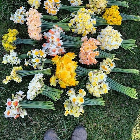 Daffodil Bouquet, Daffodil Flower, Cut Flower Garden, Nothing But Flowers, Flower Therapy, Spring Bulbs, No Rain, Bulb Flowers, Easter Treats