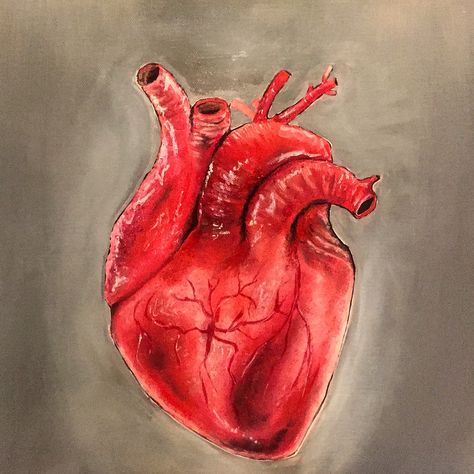 Heart oilpainting Realistic Heart, Heart Drawing, Heart Painting, Anatomical Heart, Human Heart, Realistic Art, Heart Art, Art Sketches, Moose Art