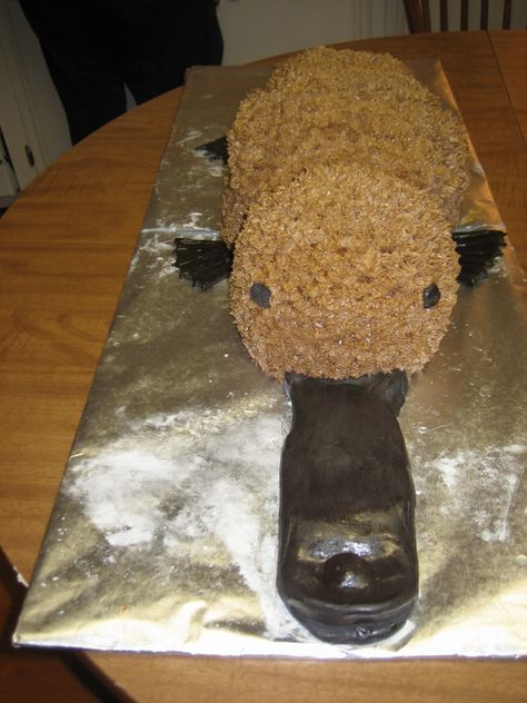 Platypus cake. Platypus Cake, Flushed Emoji, Gif Header, Duck Billed Platypus, Purple Birthday Party, Self Thought, Purple Birthday, Sand Sculptures, Cute Animals Images