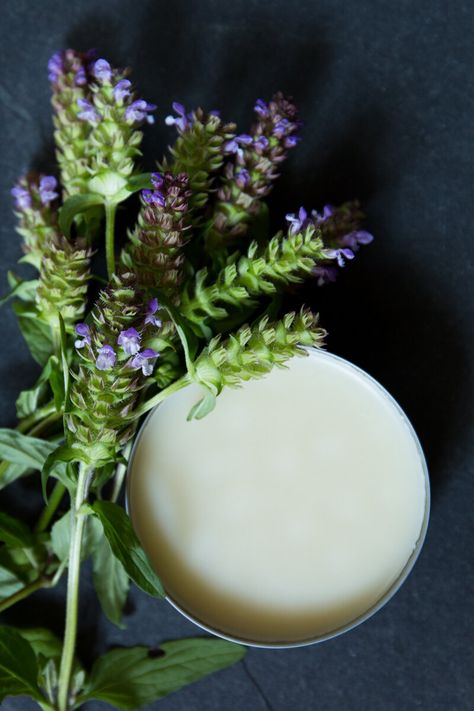 Prunella Vulgaris, Balms And Salves, Homemade Salve, Homemade Scrubs, Salve Recipes, Wild Herbs, Homemade Scrub, Healing Salves, Herbal Plants